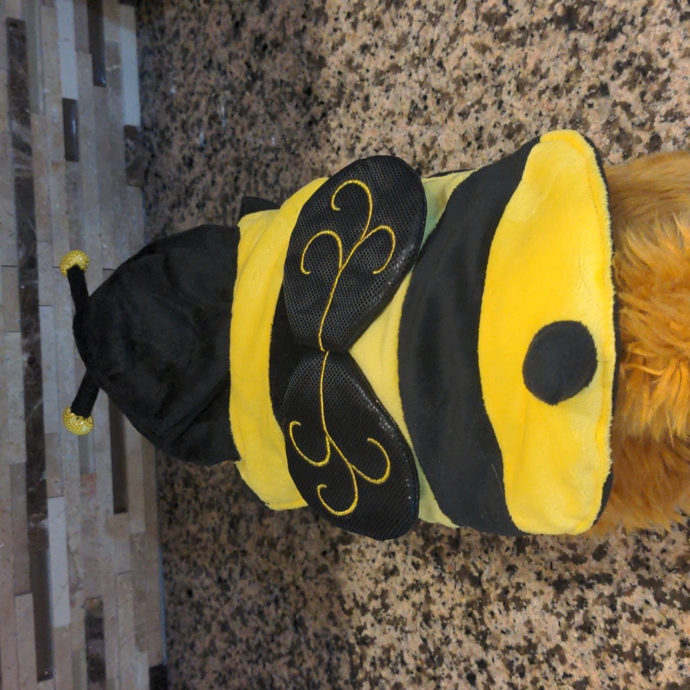 Bumble Bee small pet Halloween costume